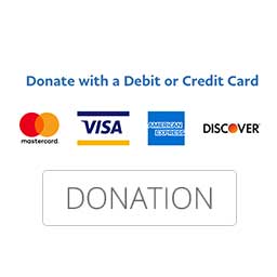 Donate to Penny & Wild using a credit or debit card