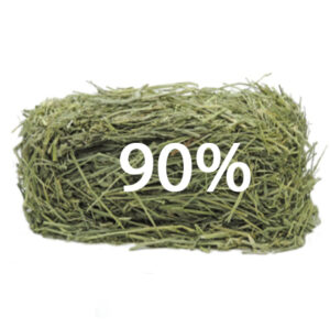 Curated visual reference: High Phosphorus Hay For Guinea Pigs Reference: Guinea Pig Care Guide